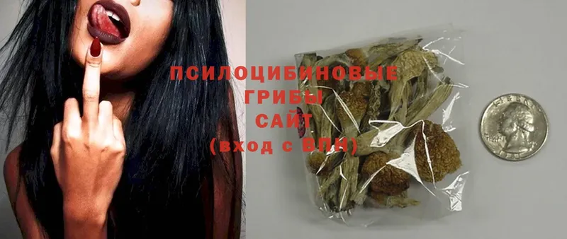 закладки  Бабушкин  Галлюциногенные грибы MAGIC MUSHROOMS 